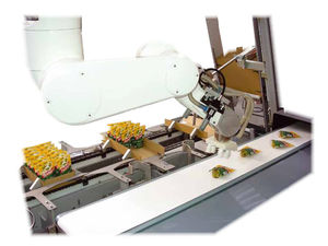 پیل رباتیک بسته بندی | برداشت-و-جاگذاری | محفظه