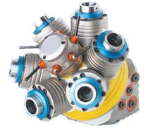 تاج تاجی شکل